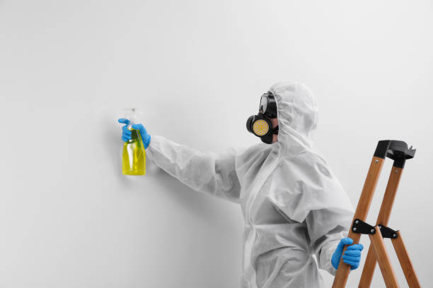 Best Mold Remediation for Healthcare Facilities in USA